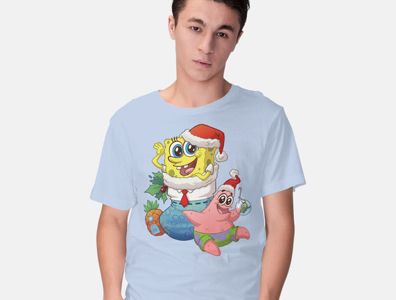 Stocking Stuffer Sponge And Star