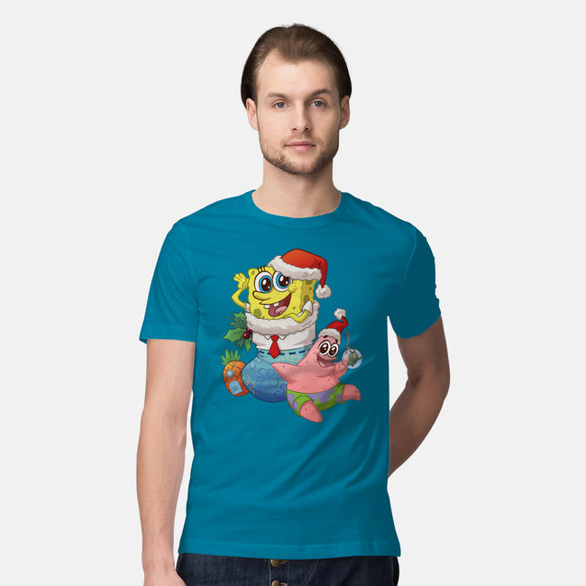 Stocking Stuffer Sponge And Star-Mens-Premium-Tee-DoOomcat