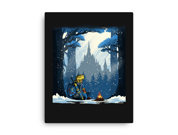 Snowy Quest