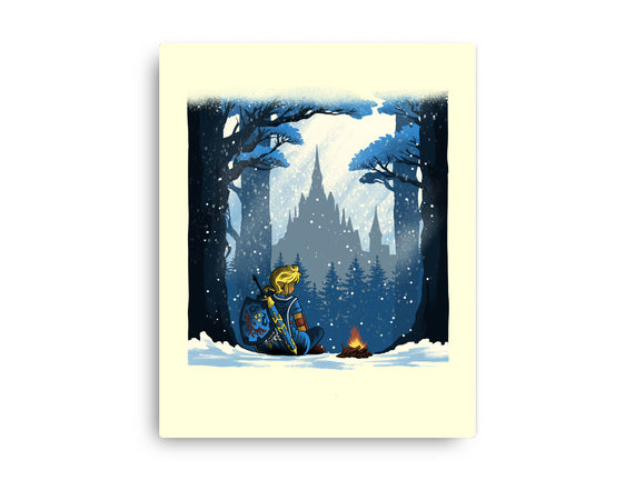 Snowy Quest