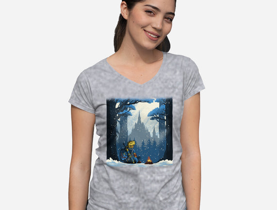 Snowy Quest