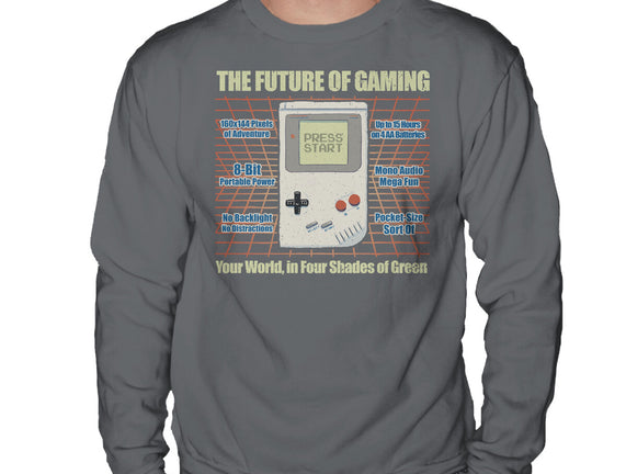 The Future Of Gaming