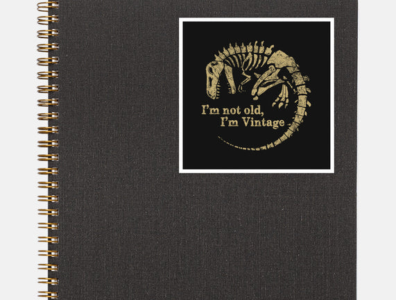 Not Old Just Vintage