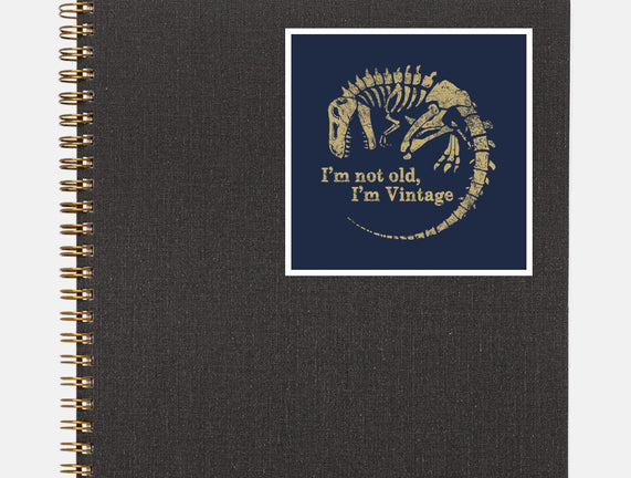 Not Old Just Vintage