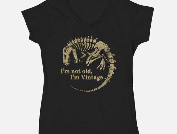 Not Old Just Vintage