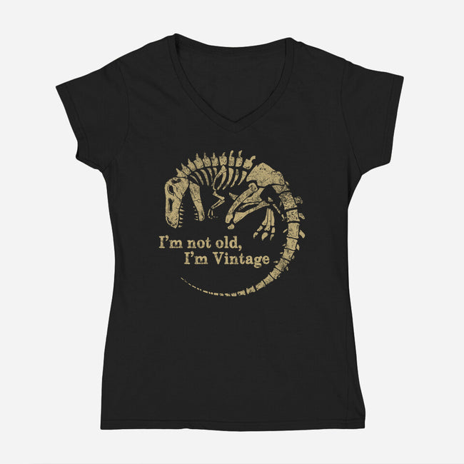 Not Old Just Vintage-Womens-V-Neck-Tee-PopCultureWizard