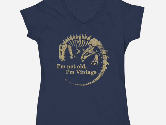 Not Old Just Vintage