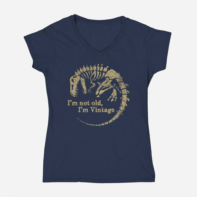 Not Old Just Vintage-Womens-V-Neck-Tee-PopCultureWizard