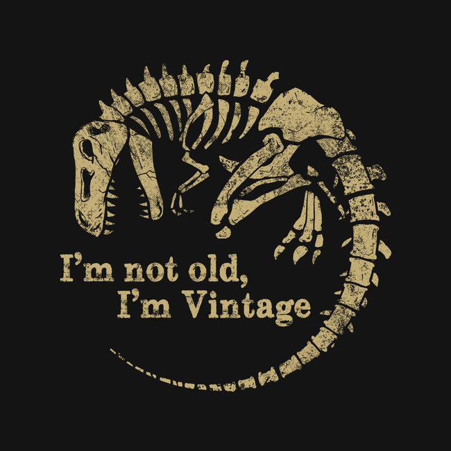 Not Old Just Vintage-Mens-Long Sleeved-Tee-PopCultureWizard