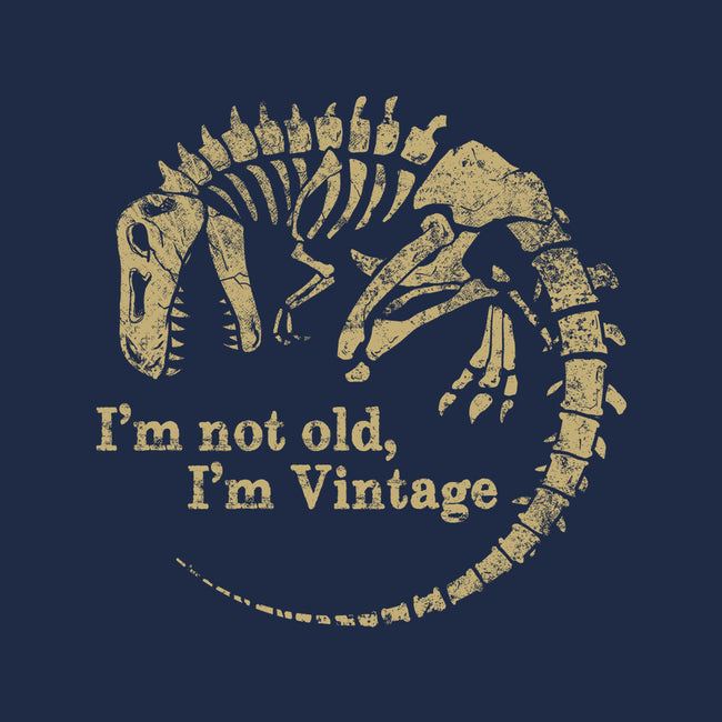 Not Old Just Vintage-Womens-V-Neck-Tee-PopCultureWizard