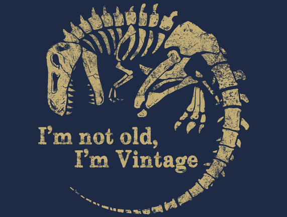 Not Old Just Vintage