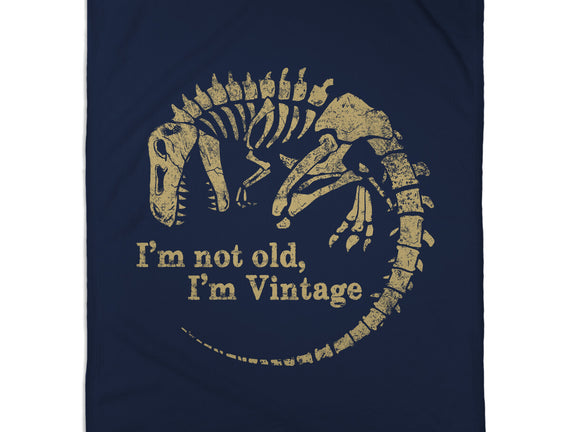 Not Old Just Vintage