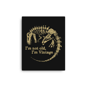 Not Old Just Vintage