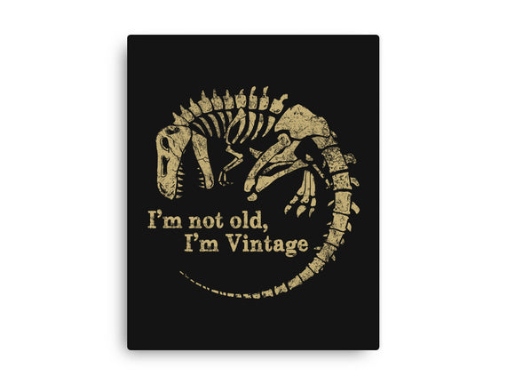 Not Old Just Vintage