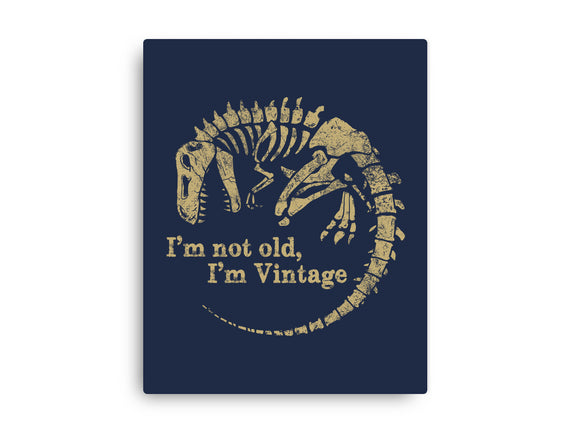 Not Old Just Vintage