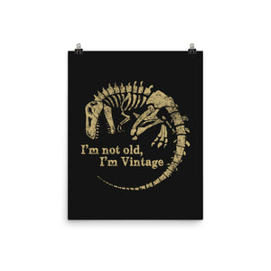 Not Old Just Vintage