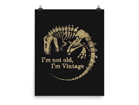 Not Old Just Vintage