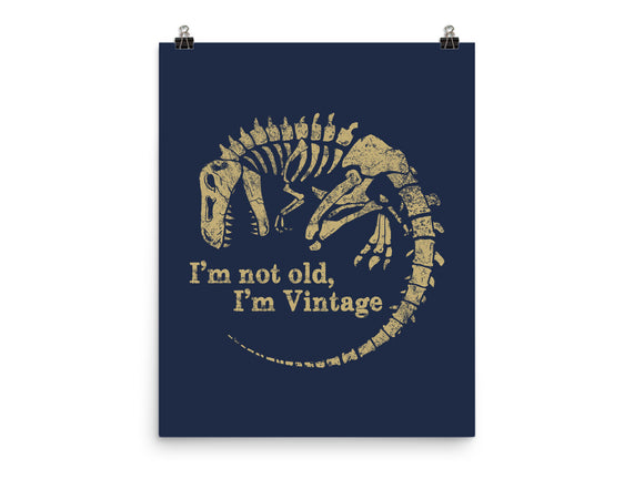 Not Old Just Vintage