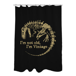 Not Old Just Vintage