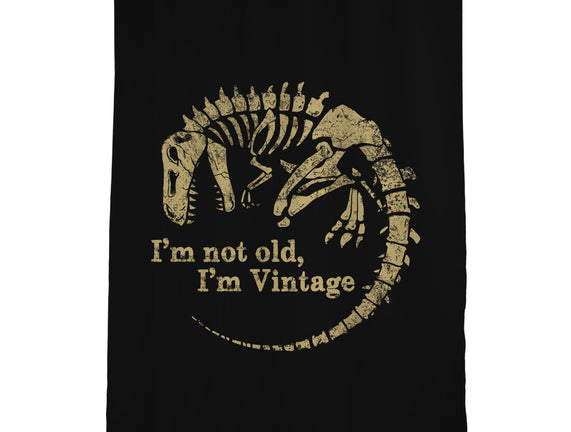 Not Old Just Vintage