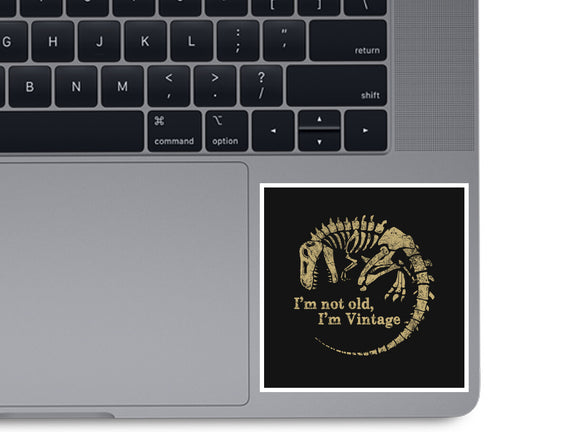 Not Old Just Vintage