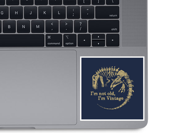 Not Old Just Vintage