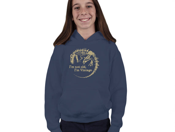 Not Old Just Vintage