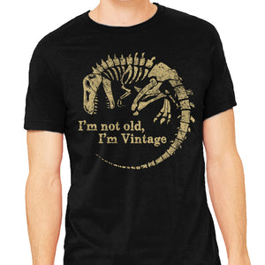 Not Old Just Vintage