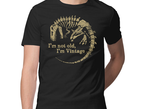 Not Old Just Vintage