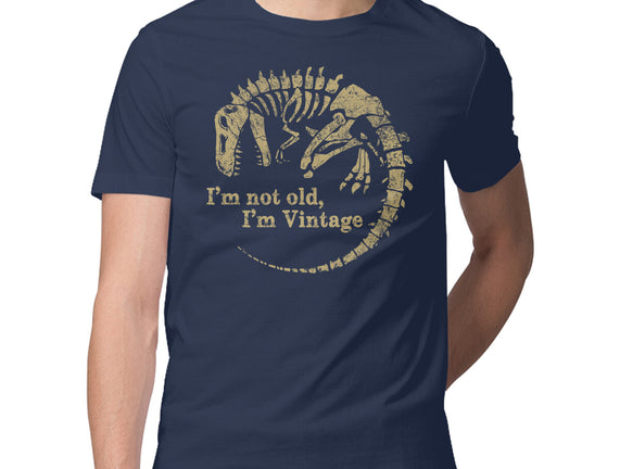 Not Old Just Vintage