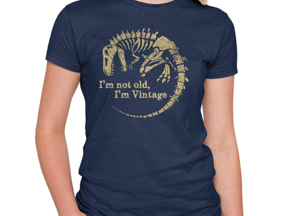 Not Old Just Vintage