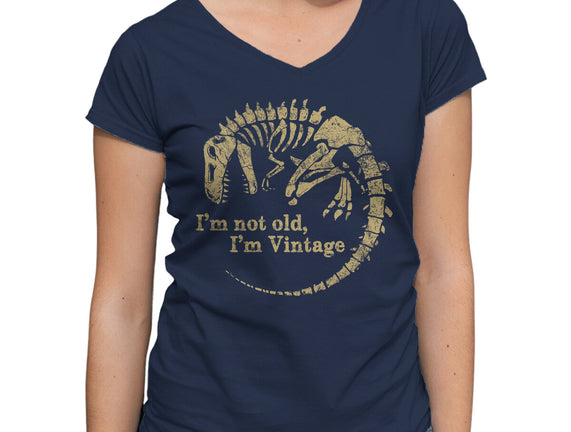 Not Old Just Vintage