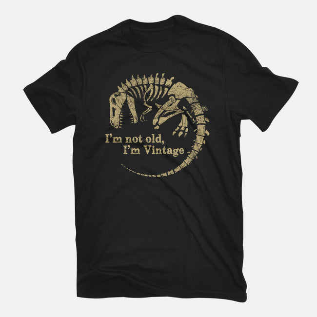Not Old Just Vintage-Womens-Basic-Tee-PopCultureWizard