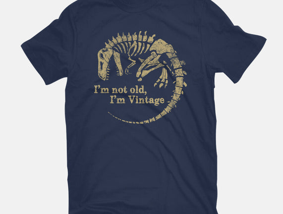 Not Old Just Vintage