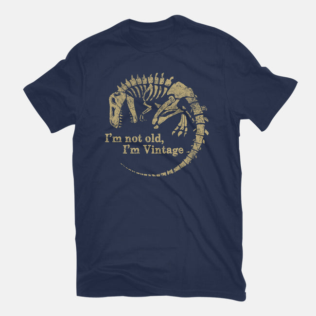 Not Old Just Vintage-Womens-Basic-Tee-PopCultureWizard
