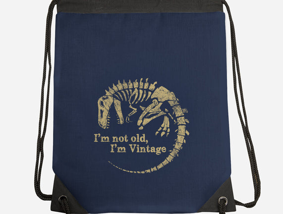 Not Old Just Vintage