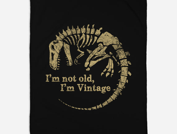 Not Old Just Vintage