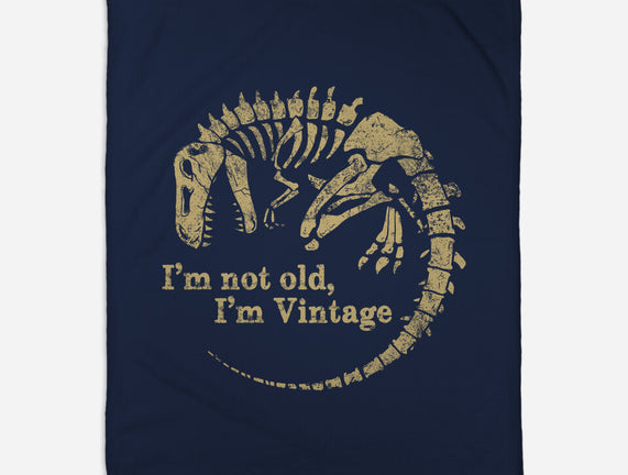 Not Old Just Vintage