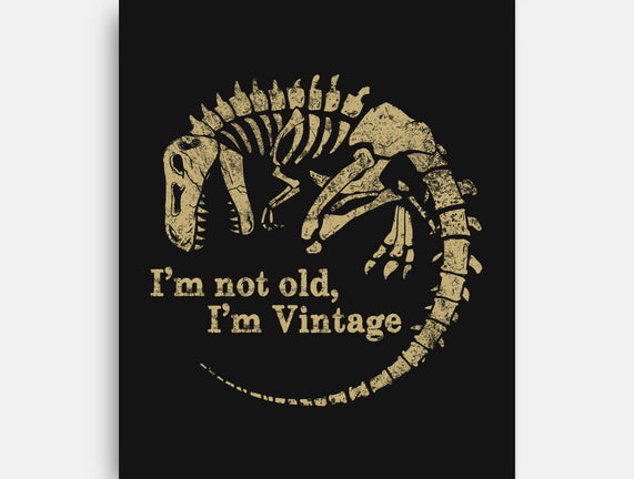 Not Old Just Vintage