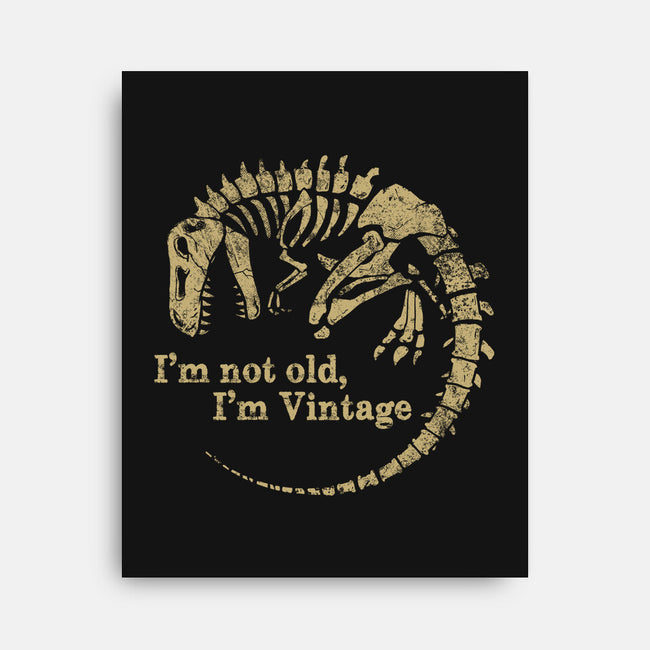 Not Old Just Vintage-None-Stretched-Canvas-PopCultureWizard