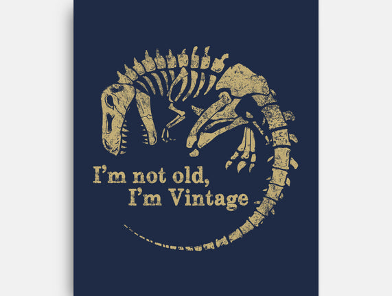 Not Old Just Vintage