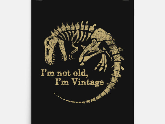 Not Old Just Vintage