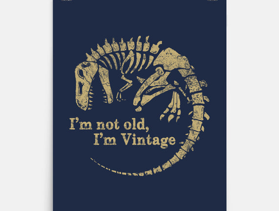Not Old Just Vintage