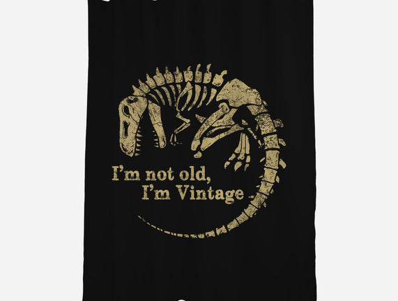 Not Old Just Vintage