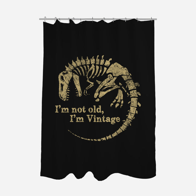 Not Old Just Vintage-None-Polyester-Shower Curtain-PopCultureWizard
