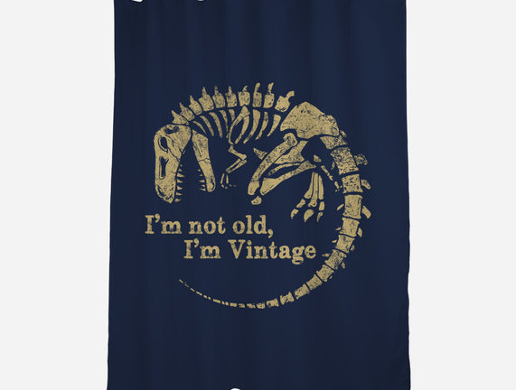 Not Old Just Vintage