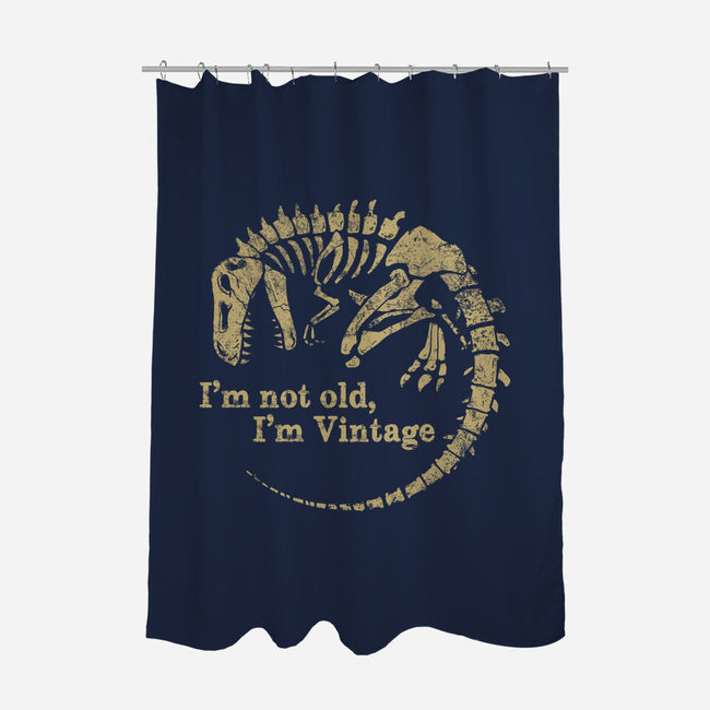 Not Old Just Vintage-None-Polyester-Shower Curtain-PopCultureWizard