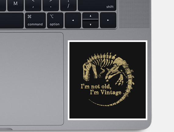 Not Old Just Vintage