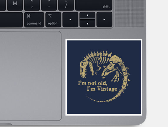 Not Old Just Vintage