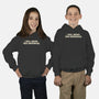I Shall Shenan Then Shenanigan-Youth-Pullover-Sweatshirt-worlddominationforcats